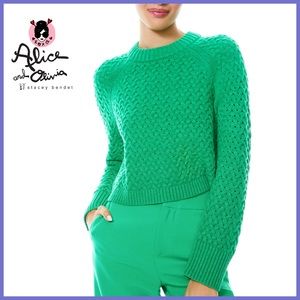 🏷 🆕 Alice + Olivia Leta Textured & Woven Pullover Mint Kelly Green Sweater